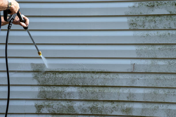 Historical Building Siding Restoration in Florence, MT