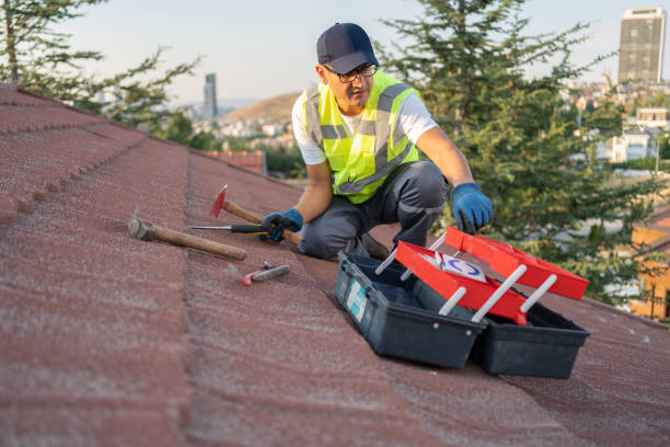 Professional Siding Installation & Repair in Florence, MT
